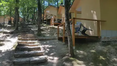 a house with a set of stone steps next to trees at Ваканционно селище СБХ in Shkorpilovtsi