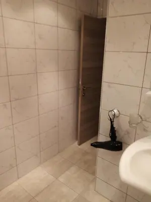 a bathroom with a shower with a toilet and a sink at Weißer Schwan Белият лебед in Shkorpilovtsi