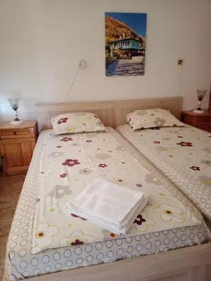 two twin beds in a bedroom with a picture on the wall at Vila Rosen in Lozenets