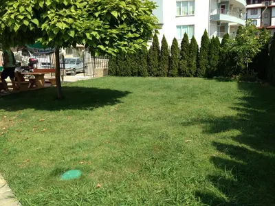 a grassy yard with a tree and a building at Femili Hotel Diveda in Sveti Vlas