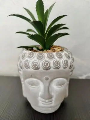 a plant in a white vase with a face at Aпартамент 5 in Varna City