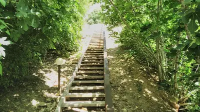 a set of wooden steps in the middle of a forest at Apartmán Alex beach s nádherným panoramatickým výhledem na moře in Sveti Vlas