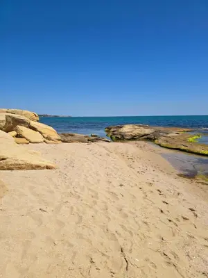 a sandy beach with rocks and the ocean at Бутикови апартаменти Емона in Ravda