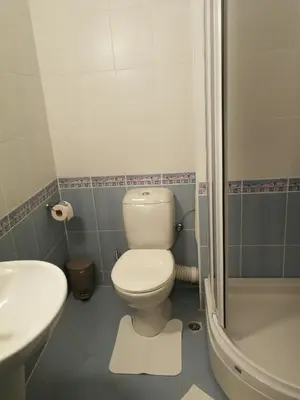 a bathroom with a toilet and a sink and a shower at Апартамент за гости Соня Guest Apartment Sonya in Nesebar