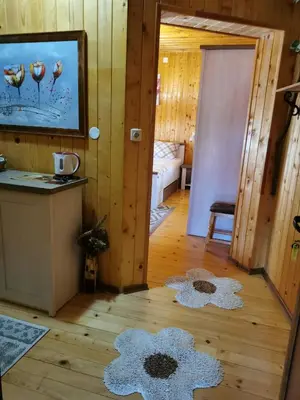 a room with a television and two rugs on the floor at The Old House in Nesebar