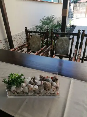 a tray of rocks and plants on a table at Villa Mareli in Tsarevo