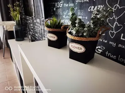 a table with three potted plants on top of it at Apartment Beach Kavatsi in Sozopol