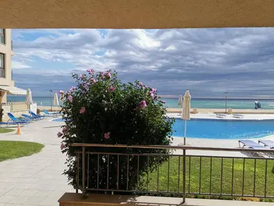 a bush with pink flowers sitting next to a pool at Апартамент Б003 в Обзор Бийч Резорт- море пред прозореца, плаж пред вратата !!! in Obzor