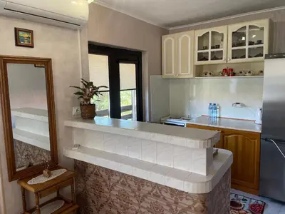 a kitchen with a counter with a sink and a refrigerator at Къща за гости ЕЛЕНИ in Sozopol
