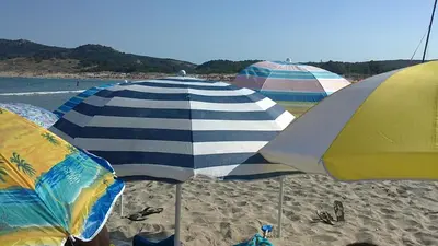 a group of umbrellas on a sandy beach at Apolon 2 in Sozopol
