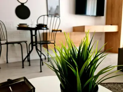 a plant sitting on a table in a living room at Studio Greenn Life Beach Resort in Sozopol
