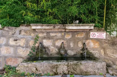 a bird sitting on top of a stone fountain at Villa Viara in Pchelnik