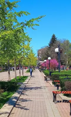 a person walking down a sidewalk in a park with benches at Уютная квартира - студия в Старом Поморие, Болгария in Pomorie