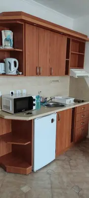 a kitchen with a sink and a microwave at Central Plaza - Studio - Sunny Beach in Sunny Beach
