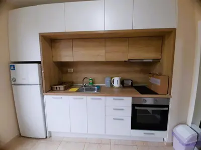 a small kitchen with a sink and a refrigerator at Sea Dreams Apartment in Sveti Vlas