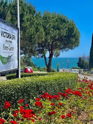 a sign in a field of flowers with a tree at Apartments in complex PANORAMA in Chernomorets