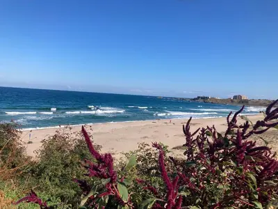 a beach with a bunch of people in the ocean at Вила Елия - почивка край морето in Lozenets