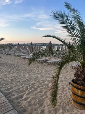 a sandy beach with umbrellas and a palm tree at Luxury Private Apartment near Green Life Resort in Sozopol