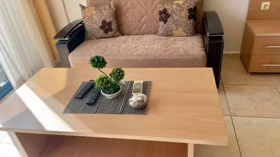 a coffee table with a plant on top of it at Trakia Plaza Apartment in Sunny Beach