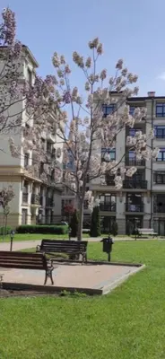 a park with two benches in front of a building at Aivazovski park - Pomorie SP apartments in Pomorie