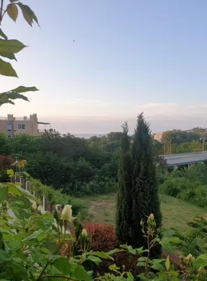 a tree in a field with a bridge in the background at Seaside 1-BR Apartment with Pool Access in Byala