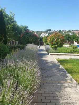 a walkway in a garden with flowers and grass at Seaside 1-BR Apartment with Pool Access in Byala
