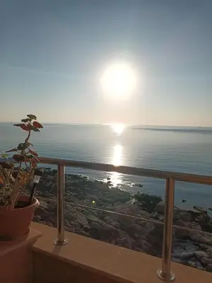 a view of the ocean from a balcony with a plant at Sozopol Bulgaria VIP zona in Sozopol