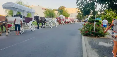 a group of horse drawn carriages on a city street at Апартамент Ели in Obzor