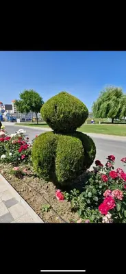 a bush shaped like a rabbit sitting next to flowers at Апартамент Ели in Obzor