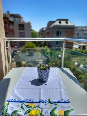 a potted plant sitting on a table on a balcony at Апартамент Limoncini in Sozopol