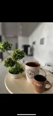 two coffee cups and a potted plant on a table at Brand new first line Sea view 1 bedroom apartment in Burgas City