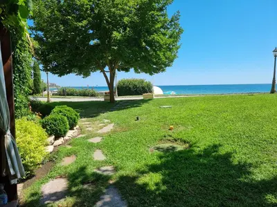 a garden with a tree and the ocean in the background at Къща на брега на морето Свети Влас, Garden of Eden in Sveti Vlas