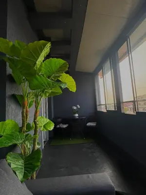 a room with a large green plant in the corner at Bella Apartment - Holiday Complex Rainbow in Sunny Beach