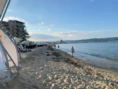a group of people walking on the beach at ESPERANTO 403 Large Studio Sunny Beach in Sunny Beach