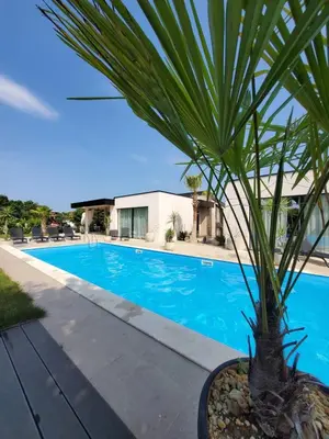 a palm tree sitting next to a swimming pool at Luxury Villas Giardino Lozenetz in Lozenets