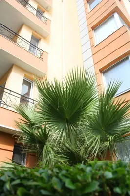 two palm trees in front of a building at Pomorie Residence 1-bedroom apartment with pool & free parking, 300 m to the beach in Pomorie
