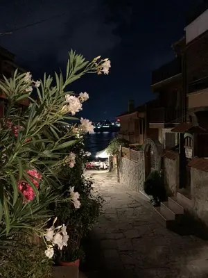 a night view of a street with pink flowers at Villa Rouge - Apartment Victoria in Sozopol