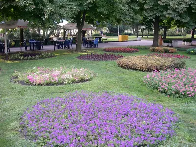 a park with purple flowers in the grass at Tsarigradska in Burgas City