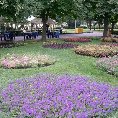 Tsarigradska