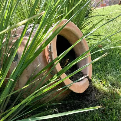 a pot sitting in the grass next to some plants at Sorrento - Menada Apartments in Sveti Vlas