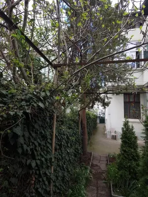 a white house with a fence and a tree at Етаж от къща с двор in Burgas City