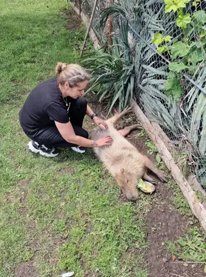 a woman petting a dog laying on the ground at Viriks in Burgas City