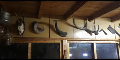 a wall with antlers hanging on a wall at Krimski Guest House and Bungalows in Byala