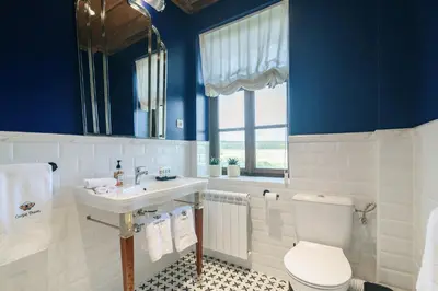 a bathroom with blue walls and a toilet and a sink at Carpe Diem in Sladka Voda