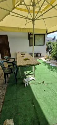 a cat laying on the grass under an umbrella at Bungalow GHP-B in Varna City