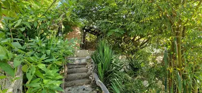 a stone staircase in a garden with trees and plants at Bungalow GHP-B in Varna City