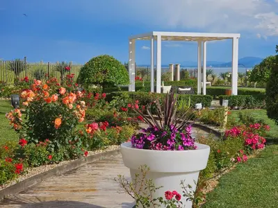 a flower garden with a large pot of flowers at Diamond Beach Sarafovo by KP - Luxury Collection, Apt 6 in Burgas City