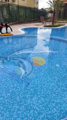 a swimming pool with penguins on the side of it at Aphrodite Park in Sunny Beach