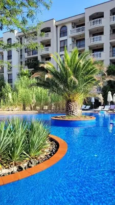a palm tree in front of a building at Deluxe Appartement in Cascadas Resort Sunny Beach in Sunny Beach