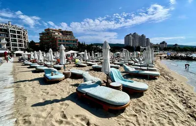 a beach with many lounge chairs and umbrellas at Luxurious 2 BR Appt at the Black Sea Coast in Sunny Beach